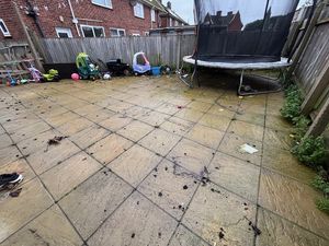 Rear Garden- click for photo gallery